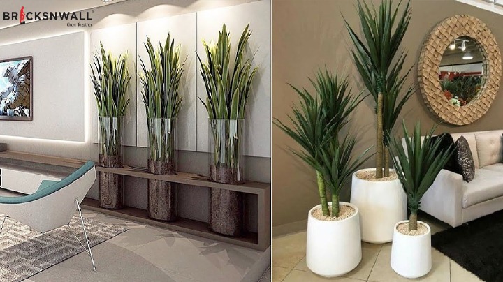 How can you decorate your home with plants?