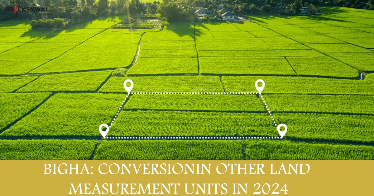 Bigha: Conversion in Other Land Measurement Units In 2024