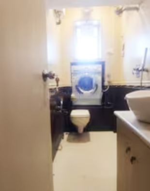 A Pali Hill flat with a washing machine above the toilet elicits hilarity online