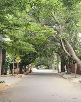 Here's why Bengaluru's Billionaire Street is the most expensive and desirable neighbourhood in the city.