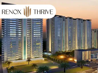 Renox Thrive Banner